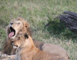 Why I Love Kenya