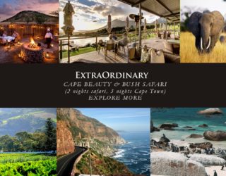 Cape Beauty & Bush Safari