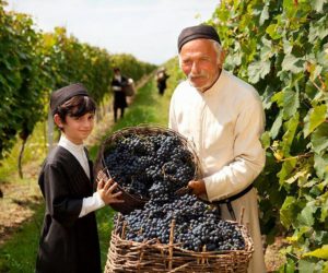 Georgia, the Cradle of Wine Civilization and the process of making wine