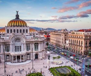 Mexico City live guided tour, through the eyes of a local expert