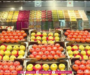 The world’s biggest fresh food market opens its doors for you!