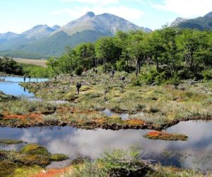 Tierra del Fuego National Park: The wonders at the end of the world in  360º!